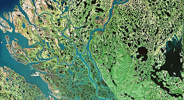Photographie aérienne d’une rivière dans un delta