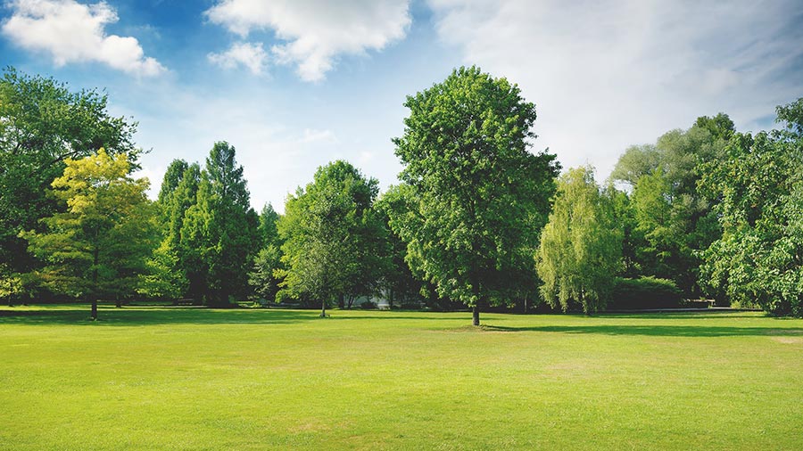 Parc avec pelouse et arbres verdoyants sur un ciel bleu parsemé de nuages