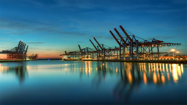 Quatre personnes creusent un trou dans le sol. Une voiture et un camion blanc se trouvent à l’arrière-plan.