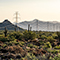 Paysage désertique couvert de broussailles et de cactus avec au loin une rangée de poteaux électriques reliés par des lignes électriques suspendues 