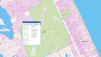 Image du portail NC OneMap illustrant des rues, un espace vert et des carrés roses représentant des bâtiments