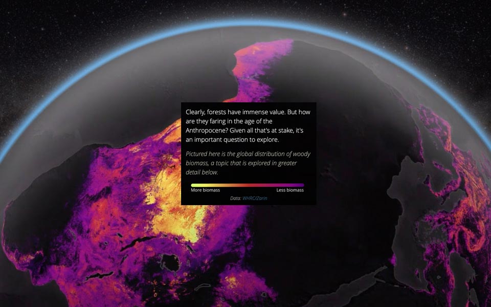 Capture d'une StoryMap ArcGIS dans laquelle il est écrit: "Certainement, les forêts ont une valeur immense. Mais comment se tiennent-elles durant l'âge de l'Anthropocène? Étant donné tout ce qui est en jeux, c'est une question importante à se poser. Dans cette photo, on voit la répartition globale de la biomasse ligneuse, un sujet exploré plus en détail ci-dessous."