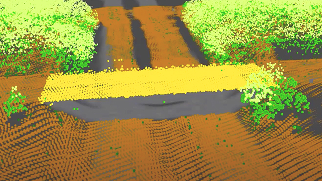 Un nuage de points orange, verts et jaunes représente des buissons le long d’une allée en 3D. 
