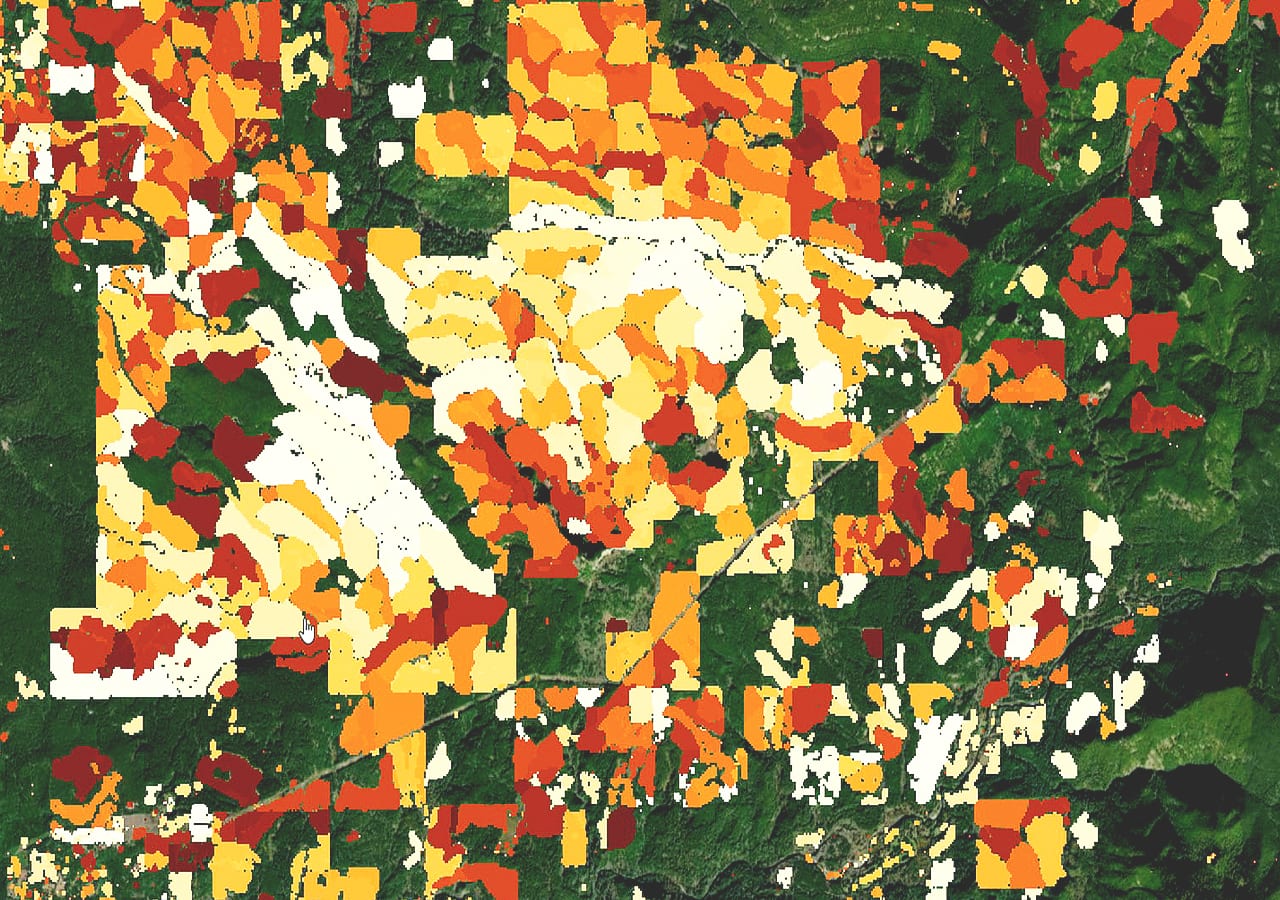 Une carte satellite de la région West Cascades dans l’Oregon utilise un dégradé du blanc au rouge pour afficher les zones de l’activité d’abattage dans le temps.