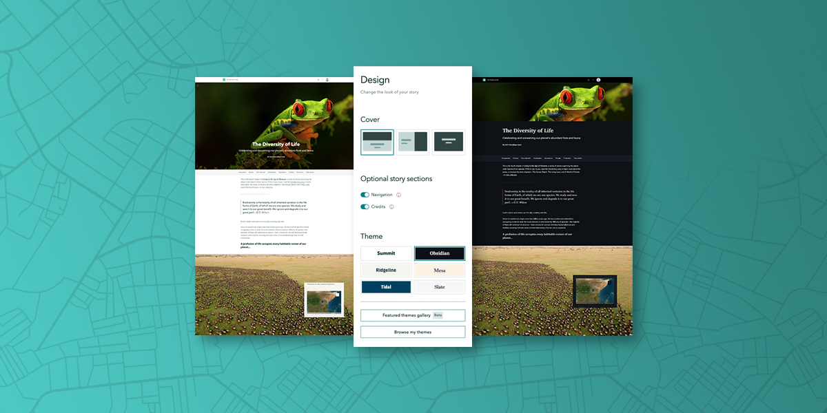 Page Web montrant une grenouille vert brillant et du texte avec une fenêtre contextuelle blanche en encart représentant un menu de conception 
