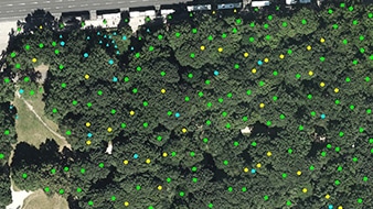 Vue aérienne d’un cluster d’arbres verts avec des points verts représentant le couvert forestier.