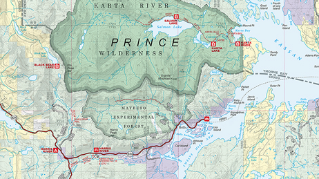 Image centrale d’une grande carte décomposée en plusieurs images proches sur la page