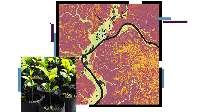 Plantes et carte avec cours d’eau