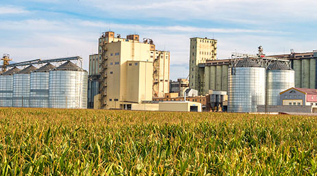 Photo d’une usine en blanc et roux à côté d’un champ de récoltes vertes et jaunes sous un ciel délavé