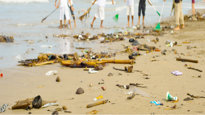 Opération de nettoyage d’une plage par des bénévoles