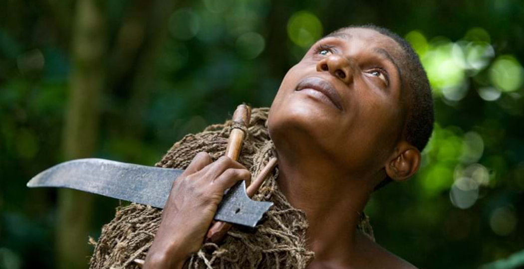 A person carrying a rolled-up net and small blade through a lush green forest gazing contemplatively up at the sky