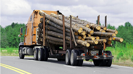 Photo d’un long camion jaune transportant une pile importante de rondins sur une autoroute ensoleillée bordée d’arbres