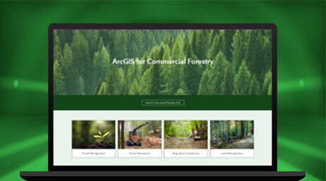 Image d’un écran d’ordinateur portable affichant une page Web sur les technologies de foresterie