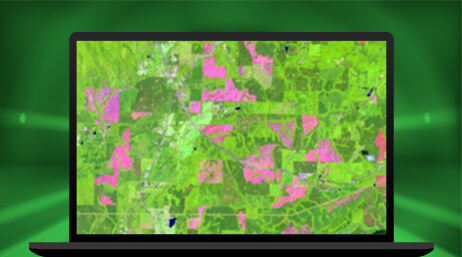 Image d’un écran d’ordinateur portable affichant une carte aérienne d’une forêt avec des zones ombrées en vert clair et en rose