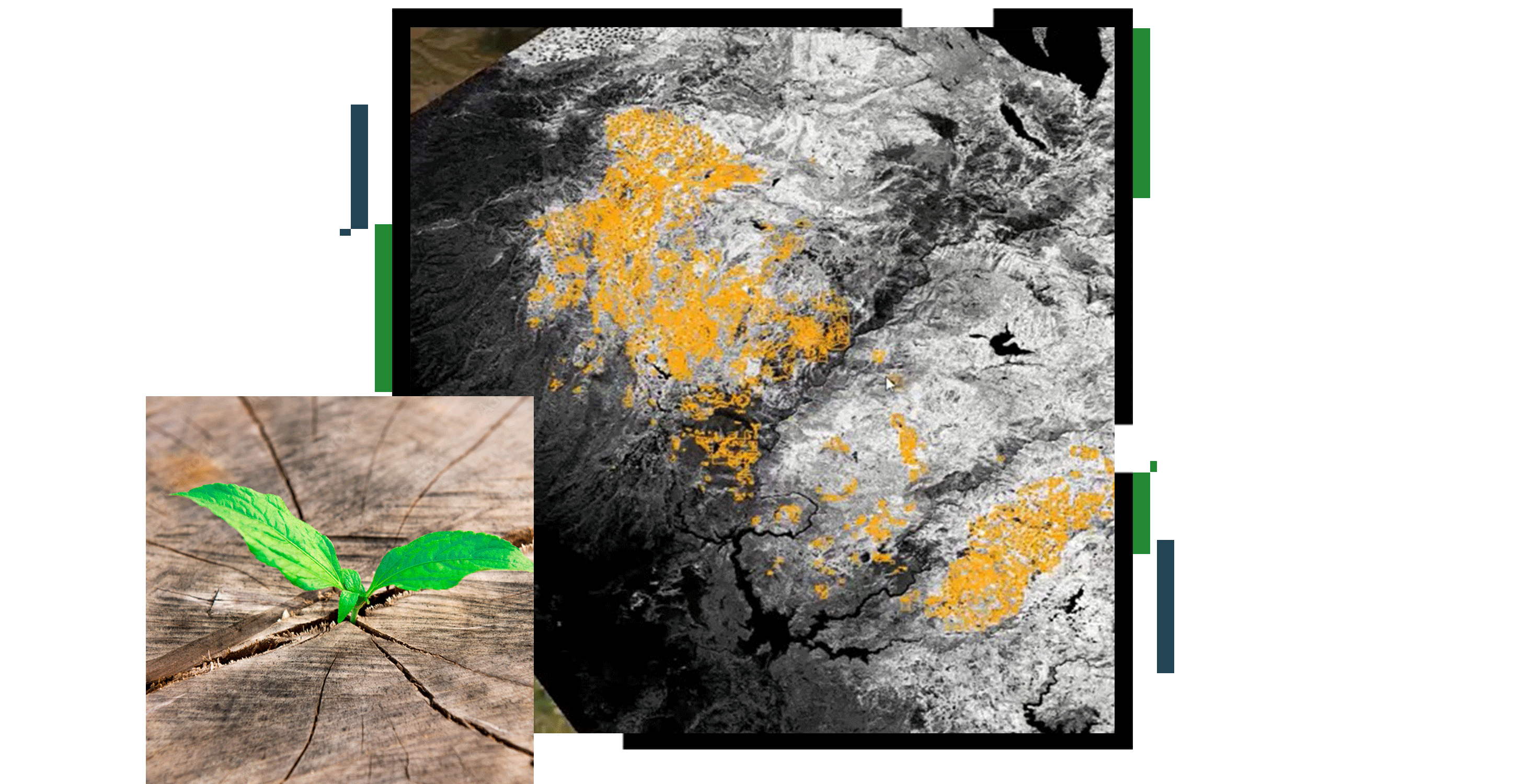 Carte d’isolignes en blanc sur noir avec des parties mises en évidence en jaune, sur laquelle est superposée une photo en gros plan d’une jeune pousse vert vif émergeant d’une fissure dans la terre sèche