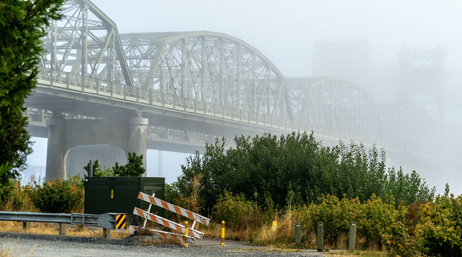 Pont avec de la végétation en dessous