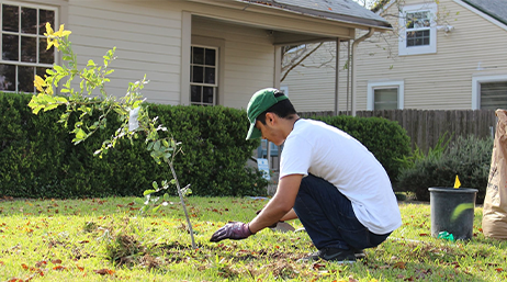 Employé communal en train de planter un arbre dans un quartier d’Austin