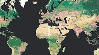 Carte colorée du globe