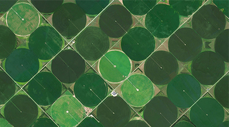 Image aérienne des lignes de culture agricole 