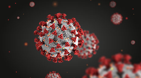 Vue microscopique d’une nouvelle structure de coronavirus rouge et blanche