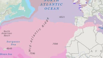 Carte de l’océan atlantique avec des zones en rose et violet