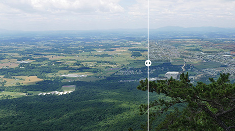Vue de paysage d'une vallée verte