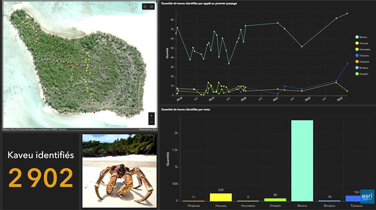 Témoignage de Te Mana o Te Moana sur la scène de SIG 2023
