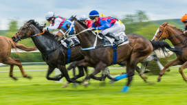 Chevaux de course au galop