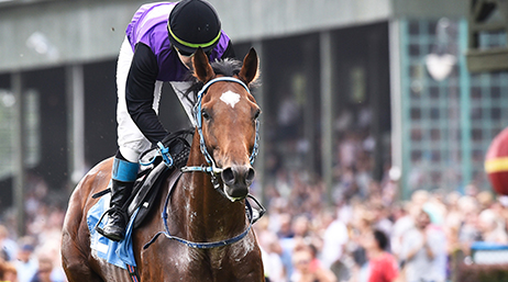 Jockey sur cheval de course passant devant une foule de spectateurs