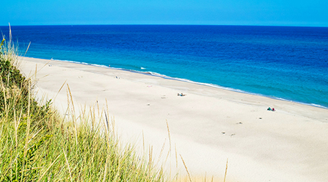 Journée ensoleillée sur une plage de Cape Cod, Massachussets : sable blanc, ciel et eau bleus et hautes herbes vertes sur les dunes de sable