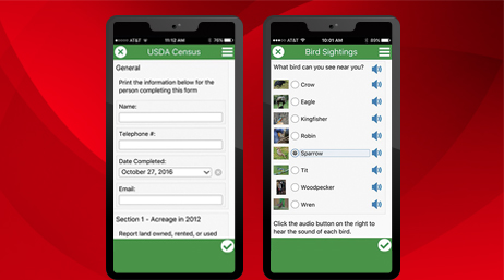 Deux téléphones portables avec des écrans USDA Census et Bird Sighting illustrant ArcGIS Survey 