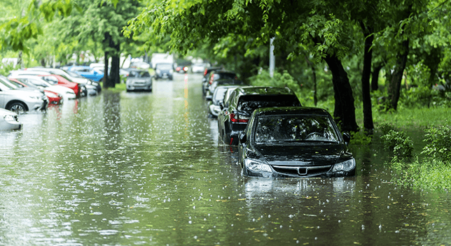 Rue inondée avec voitures en partie immergées