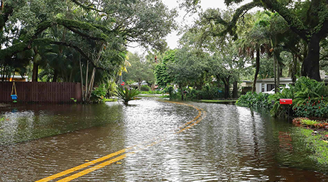 Rue inondée entourée de verdure
