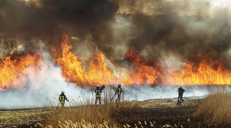 Des pompiers luttant contre un important incendie de végétation