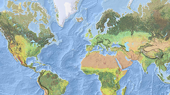 Carte du monde en vert, beige, bleu et banc foncés et clairs