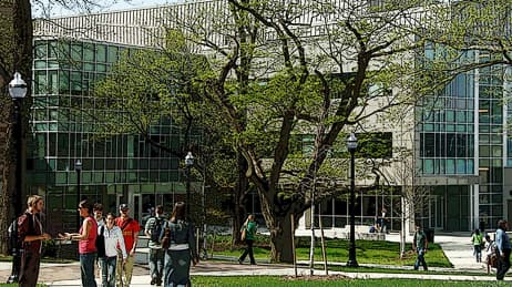 Des étudiants parlent à l'extérieur d'un bâtiment universitaire devant un arbre